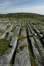 burren landscape